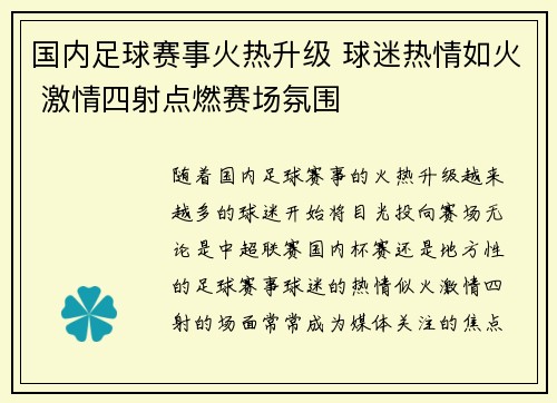 国内足球赛事火热升级 球迷热情如火 激情四射点燃赛场氛围