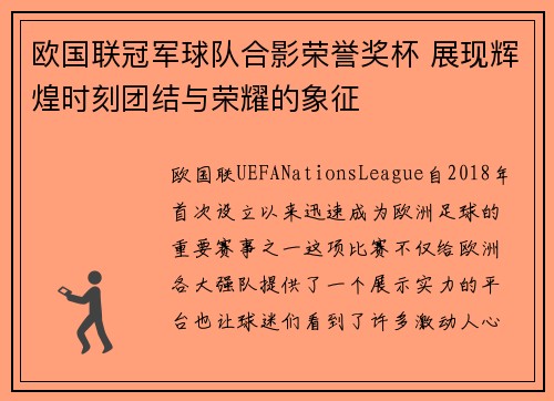 欧国联冠军球队合影荣誉奖杯 展现辉煌时刻团结与荣耀的象征