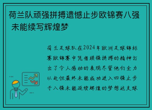 荷兰队顽强拼搏遗憾止步欧锦赛八强 未能续写辉煌梦